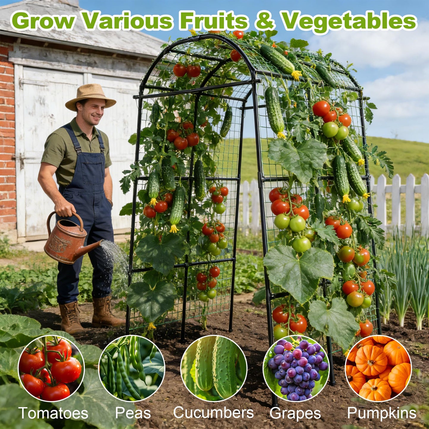 Miory Garden Arch Trellis for Climbing Plants Outdoor, Cucumber Trellis for Raised Bed, Steel with UV-Resistant PE Coated Plants Support Trellis (71 x 83 Inch)