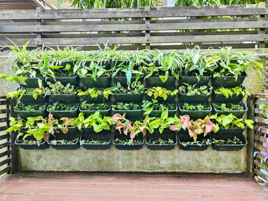 Maxona Black Color Vertical Garden Planter - 16 Pack, 13 inch Wall Mounted Planter for Patio Outdoor Decor, Home Plastic Pot Balcony Plant Vegetable Fruit Herb Hanging Pocket Holder Flowerpot