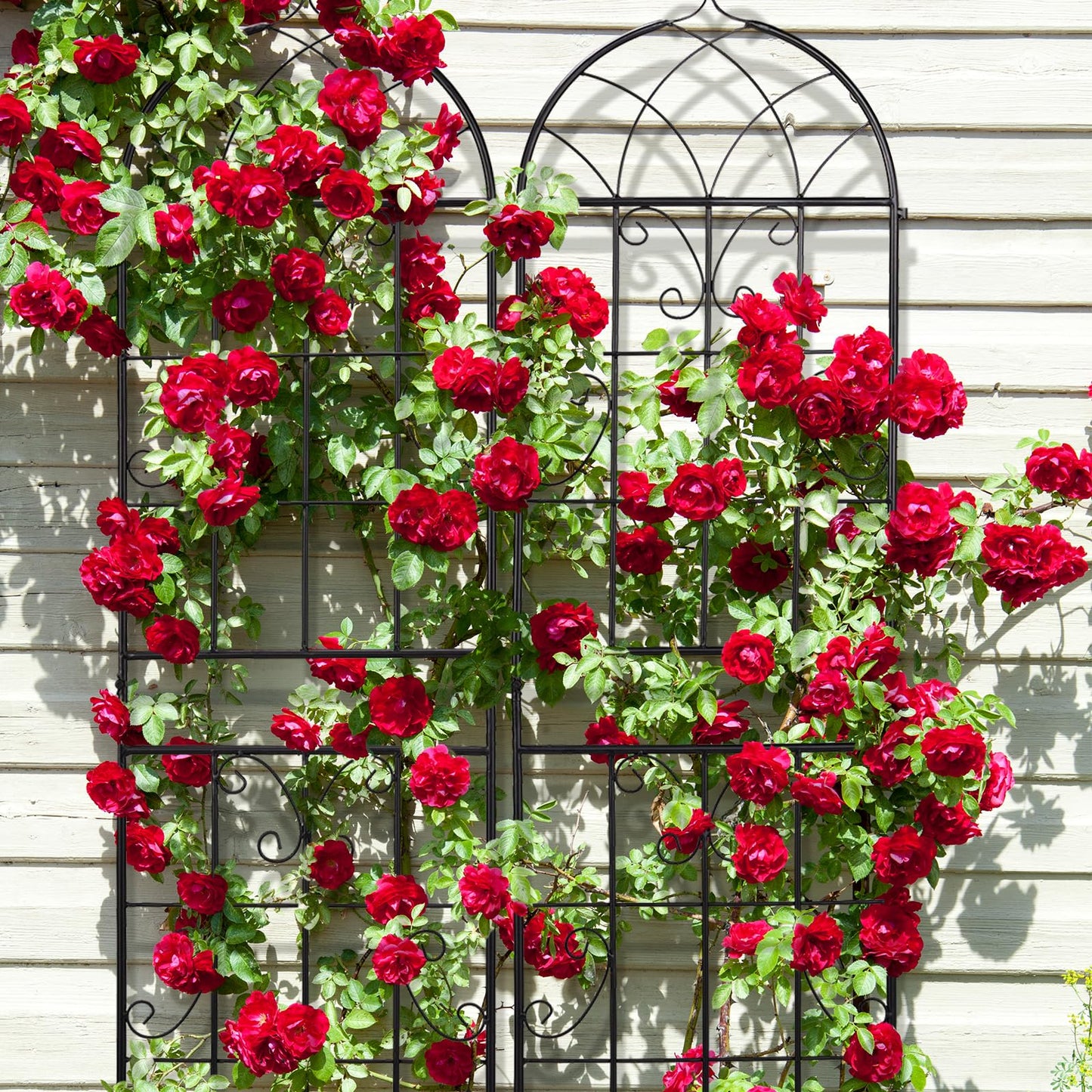 Outvita Garden Trellis for Climbing Plants, 2 Pack 5 Ft Large Decorative Outdoor Cucumber Trellis, Rust Proof Metal Vegetables Flowers Support for Tomatoes, Vines, Roses(Grid Pattern)