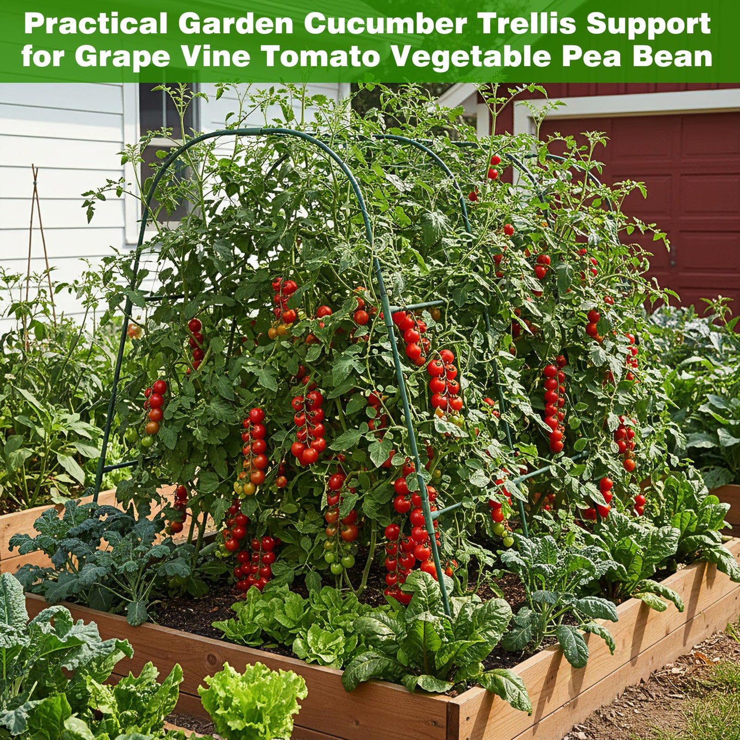 Frienda 2 Pack Garden Cucumber Trellis for Climbing Plants Outdoor 48 x 48 Inch U Shape Cucumber Trellis for Raised Bed Metal Arch for Vegetables Tomato Pea Bean
