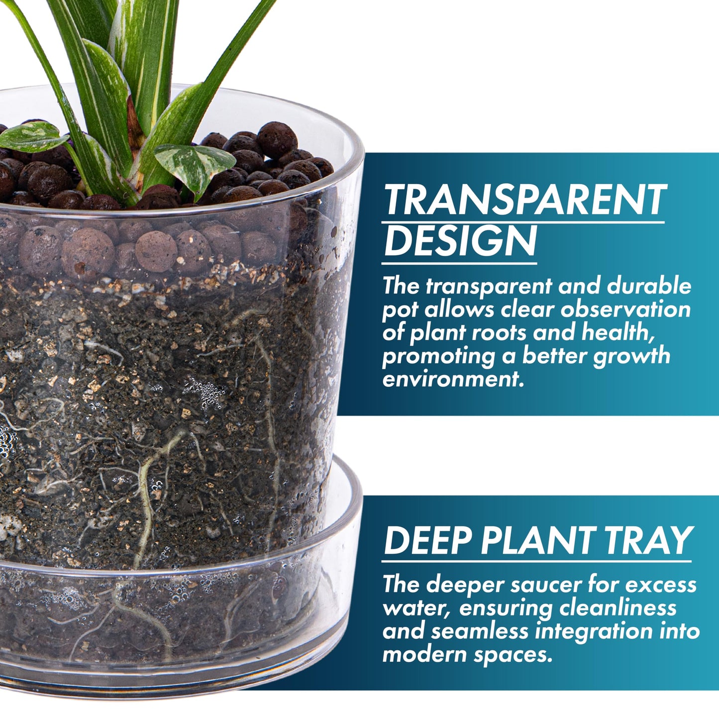 Phoenix Vine 6.5 Inch Clear Acrylic Planter Pot with Tray, Orchid Pot with Drainage Holes, Deep Saucer for Bottom Watering, Transparent Containers for Indoor Plants, Herbs, Set of 4, 91-A-F-4