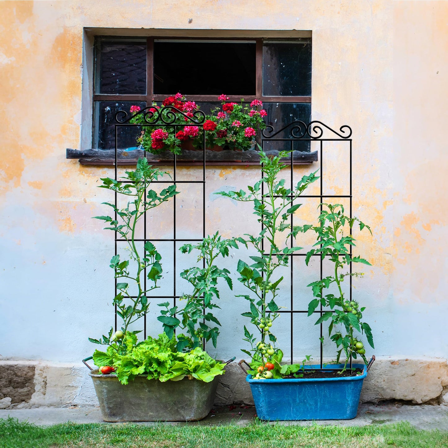 ARIFARO 47'' Metal Garden Trellis for Climbing Plants,(Pack of 4) Indoor/Outdoor Sturdy Plant Trellis for Potted Plants,House Plants, Climbing Vines, Black