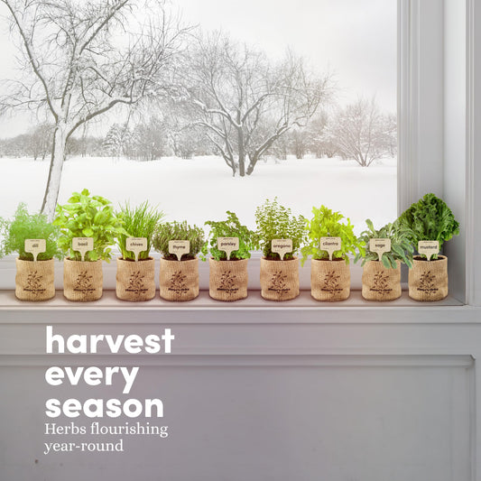Planters' Choice 9 Herb Indoor Window Garden Kit - Mothers Day Gifts - House Plants Seeds - Best Unique Gift Ideas for Women, Mom, Friend, Her, Birthday, Housewarming, Mother - Live Plant Starter