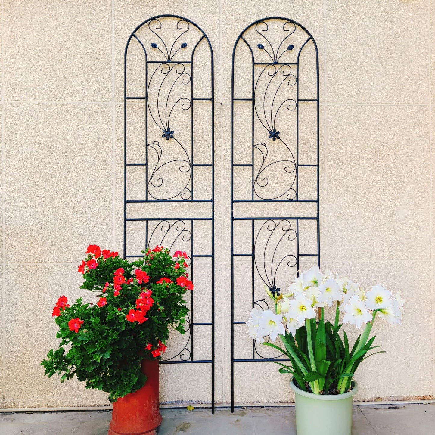 2 Pack Metal Garden Trellis 86.7"x19.7" – Rustproof Trellis for Climbing Plants Outdoor, Peacock Style Flower Support for Roses Ivy Vines, Black