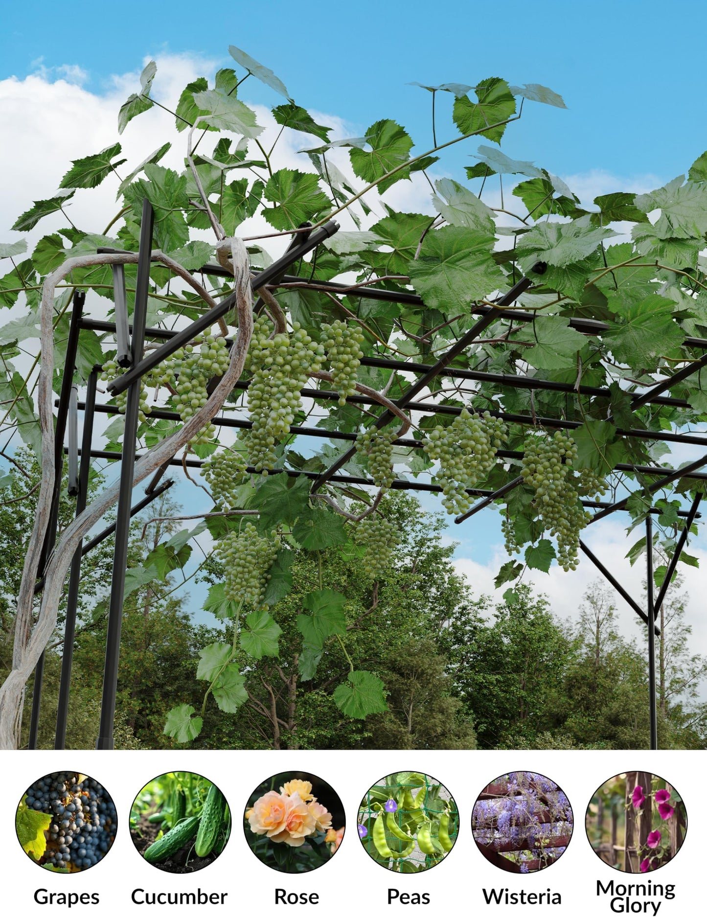 79.53" Metal Garden Arch Trellis, Dome/Flat Top Climbing Plant Support Arbor, Heavy Duty 20mm Steel Grape Trellis for Vine, Flower, Wedding Ceremony & Outdoor Garden Decor