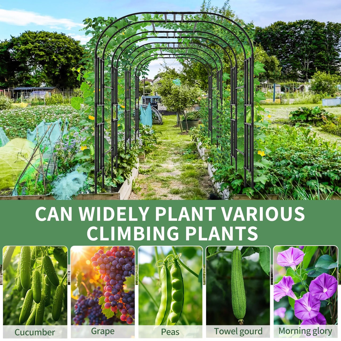SUNYRISY Garden Arch Trellis, 87" x 59" x 47.2" Large Garden Trellis for Climbing Plants Outdoor, Tall Archway Plant Support Trellis Outdoor for Cucumber Grape Vine Vegetable Flower