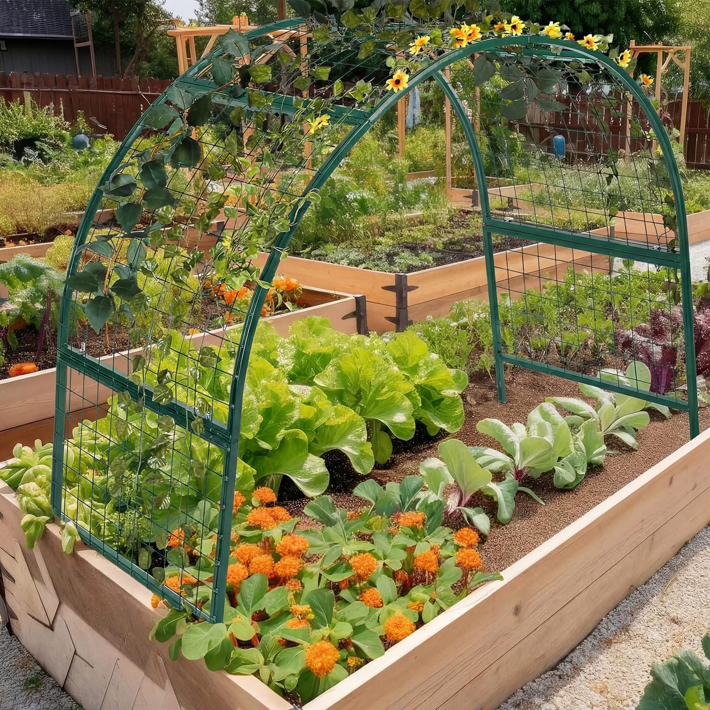 Newtay Arch Trellis for Planter Box Garden Wide Arbor Trellis Metal Arbor for Climbing Plants, Vegetables and Flowers Decorative Outdoor(Green,6 x 2 x 6 ft)