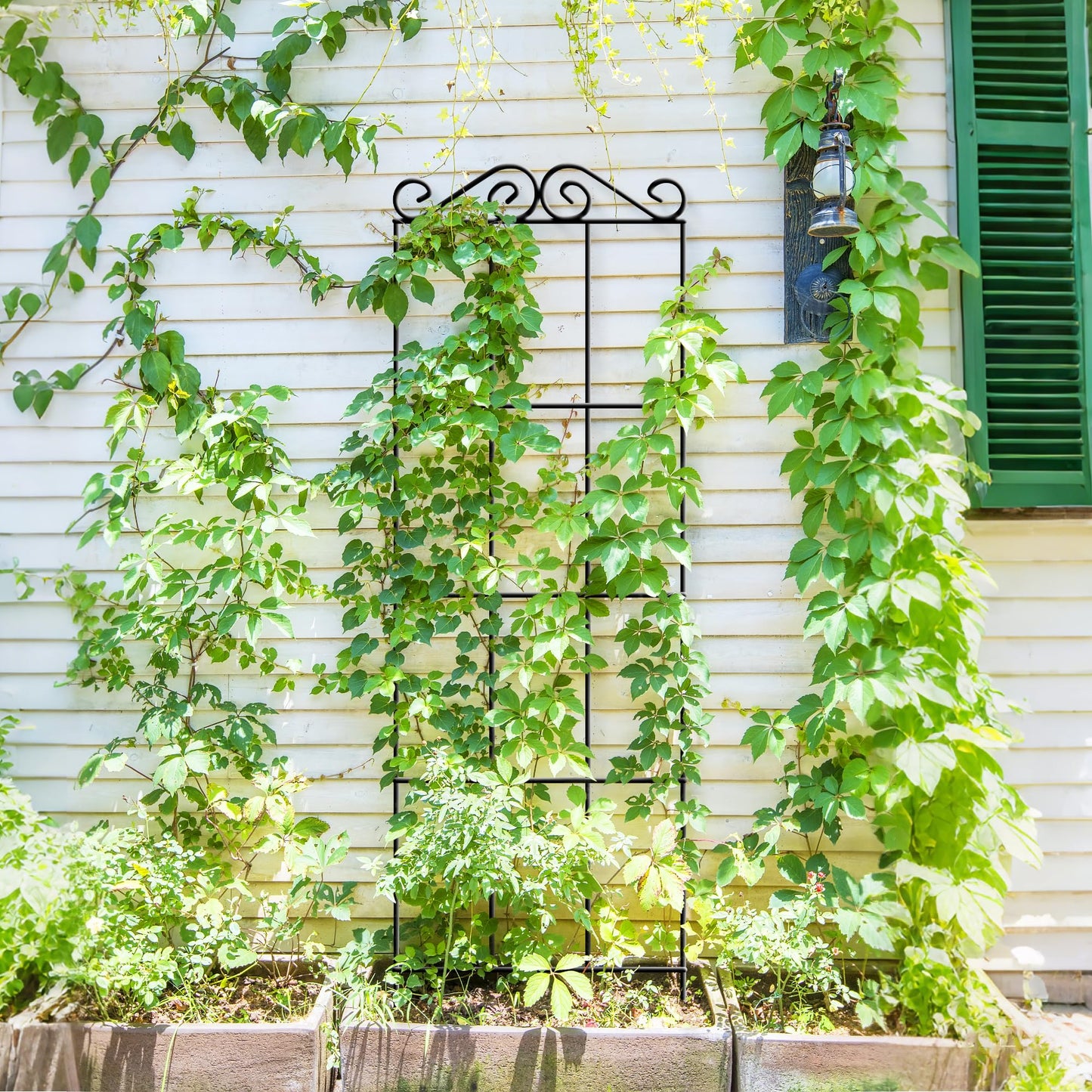 ARIFARO 47'' Metal Garden Trellis for Climbing Plants,(Pack of 4) Indoor/Outdoor Sturdy Plant Trellis for Potted Plants,House Plants, Climbing Vines, Black