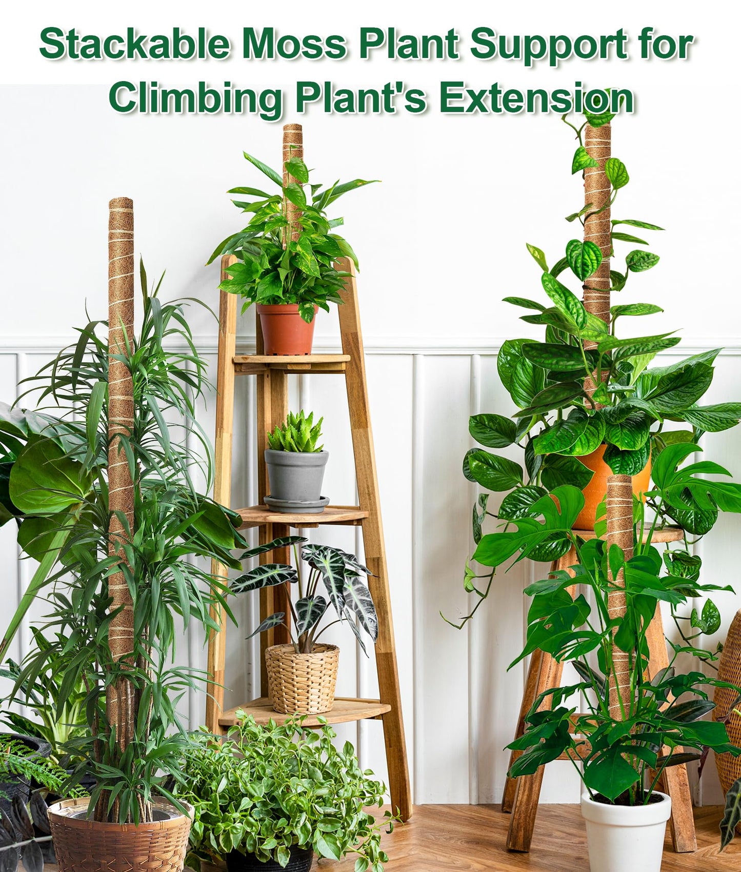 EAONE Moss Pole 126 Inch, 6 Pack 21" Monstera Plant Support for Climbing Potted Live Plants Indoor, Stackable Coco Coir Moss Sticks Monstera Stakes for Pothos Philodendron, with Garden Labels & Ties