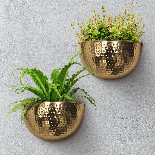 Allegorie Metal Wall Planter | Indoor or Outdoor Hanging Plant Pot | Farmhouse Decor & Boho Kitchen Decoration for Herbs & Succulents and Living Wall 12x7 (Gold)