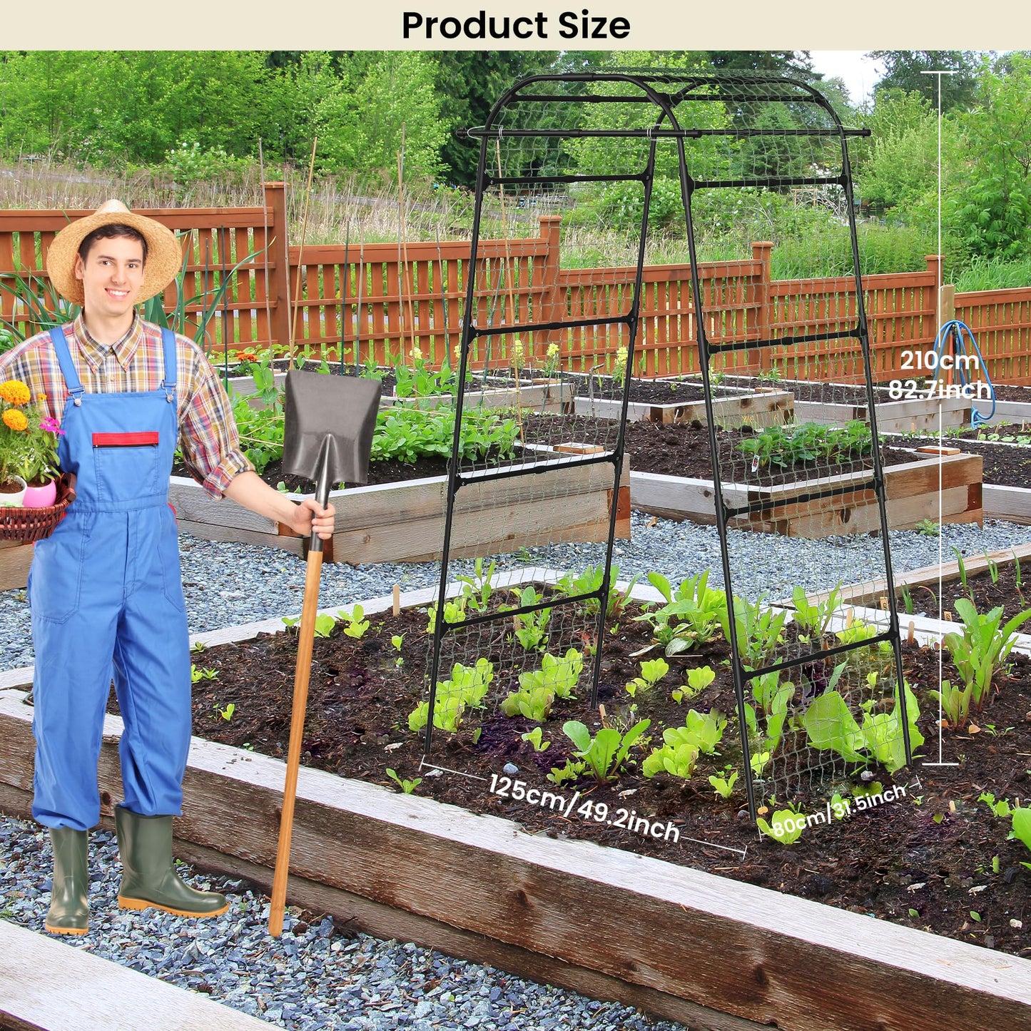 Cucumber Trellis for Raised Bed, U-Shape Metal Garden Arch, Rustproof PE-Coated Plant Support for Cucumbers, Beans, Tomatoes, Squash, Flowers (Black, 31.5 * 49.2 * 82.7inch(L*W*H))